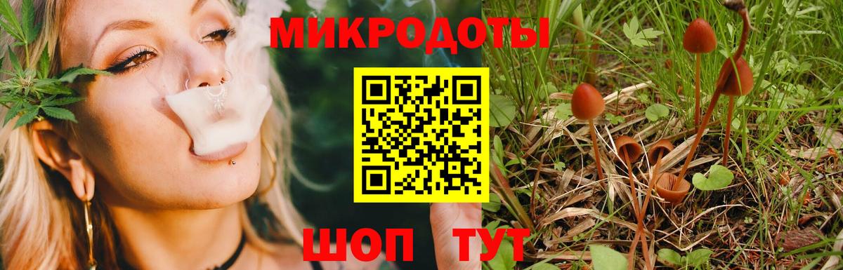 Галлюциногенные грибы прущие грибы  Галлюциногенные грибы прущие грибы  Вход с VPN  Альметьевск 